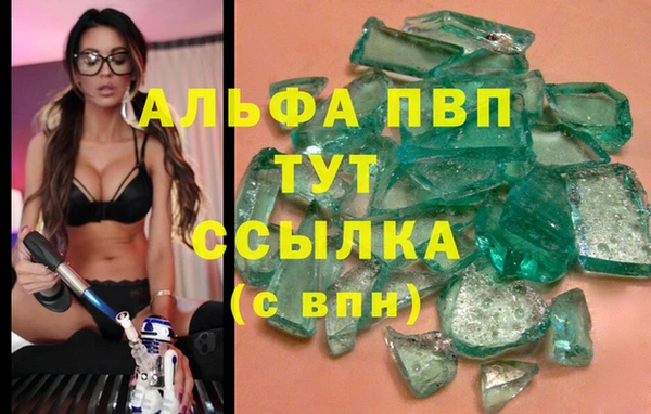 spice Верея