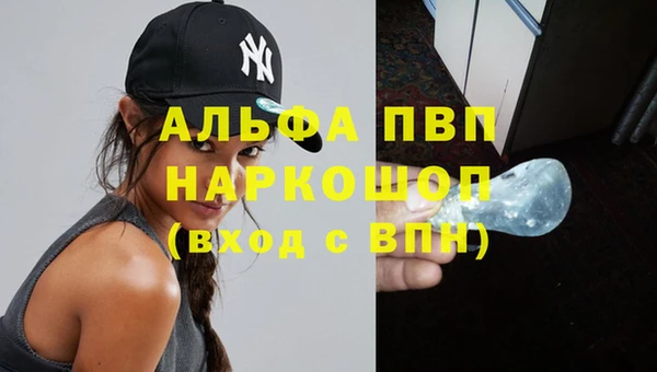 spice Верея