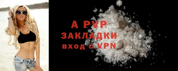 spice Верея