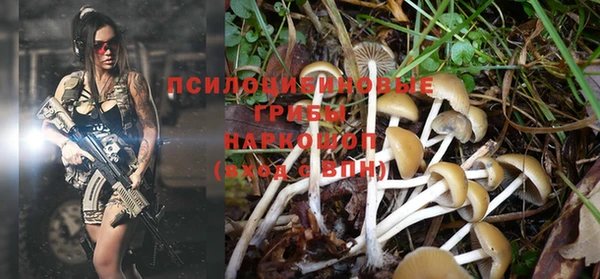 PSILOCYBIN Семикаракорск