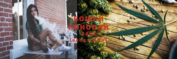 PSILOCYBIN Семикаракорск