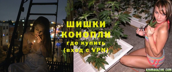 spice Верея
