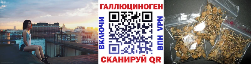 darknet формула  ОМГ ОМГ зеркало  Каменск-Шахтинский  Псилоцибиновые грибы Magic Shrooms 